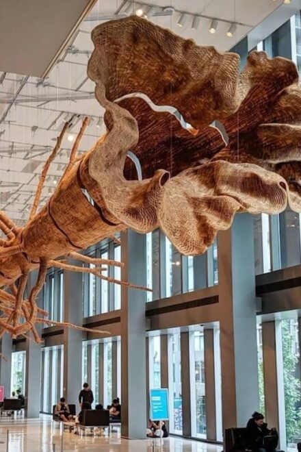 Seattle: Seattle Art Museum Admission Ticket - Full Description