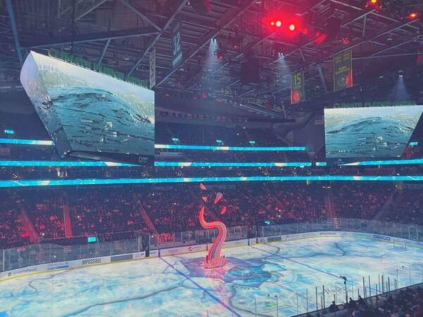 Seattle: Seattle Kraken Ice Hockey Game Ticket - The Sum Up