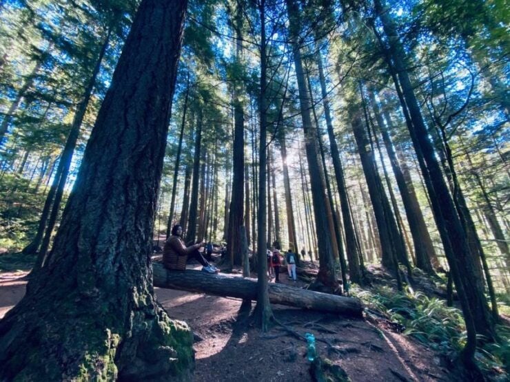 Seattle: Sensory Hike in Twin Fall for Adventurous Families - Activity Details and Booking Information