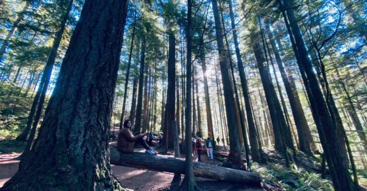 Seattle: Sensory Hike in Twin Fall for Adventurous Families - Itinerary and Location