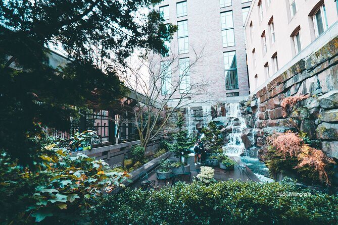 Seattle Sightseeing Scenic Guided Tour and Hop On Hop Off Pass - Hop-On Hop-Off Flexibility