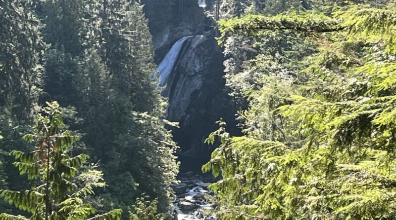 Seattle: Snoqualmie Falls and Twin Falls Guided Tour - Authentic Experiences & Traveler Insights