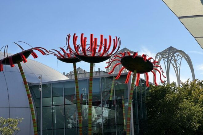 Seattle: Space Needle Park Self-Guided Walking Audio Tour - Meeting Point and App Instructions