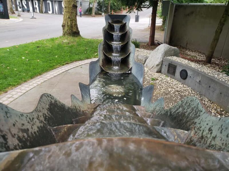 Seattle: Space Needle & Seattle Center Private Tour - Insights from Past Participants