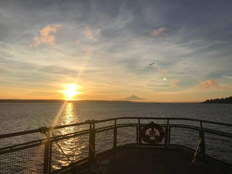 Seattle: Summer Views Cruise - Authentic Perspectives from Guests