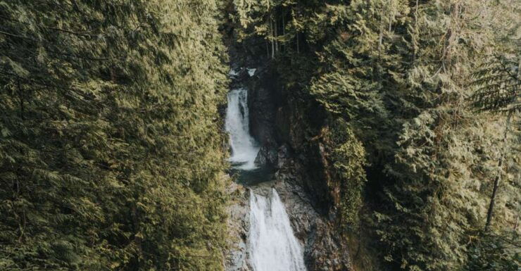 Seattle: Waterfall Wonderland Hike in Wallace Falls Park - Experience Highlights
