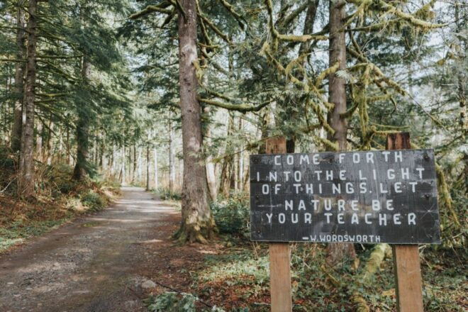 Seattle: Waterfall Wonderland Hike in Wallace Falls Park - The Sum Up