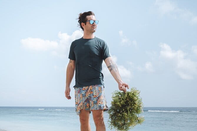 Seaweed Farming Activity and Sightseeing at Diamond Beach - Exploring Nusa Penida’s Seaweed Farming & Diamond Beach: An Honest Review