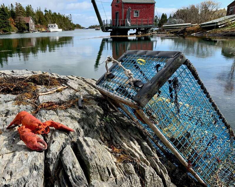 Seaweed Tours Lunenburg N.S Can UNESCO world heritage site. - Analyzing the Value