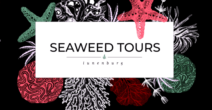 Seaweed Tours Lunenburg N.S Can UNESCO World Heritage Site. - Exploring Lunenburgs UNESCO Wonders