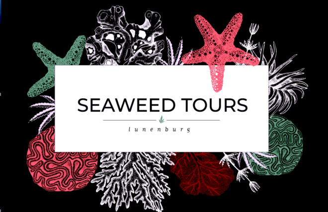 Seaweed Tours Lunenburg N.S Can UNESCO World Heritage Site. - Small Group Storytelling Tours