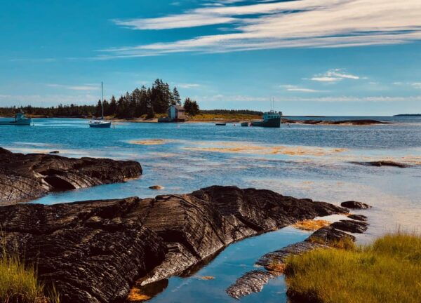 Seaweed Tours Lunenburg N.S Can UNESCO World Heritage Site. - Flexible Scheduling and Availability