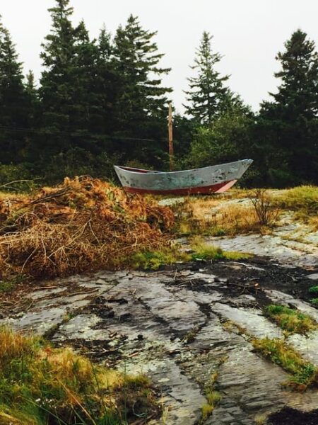 Seaweed Tours Lunenburg N.S Can UNESCO World Heritage Site. - Positive Customer Feedback
