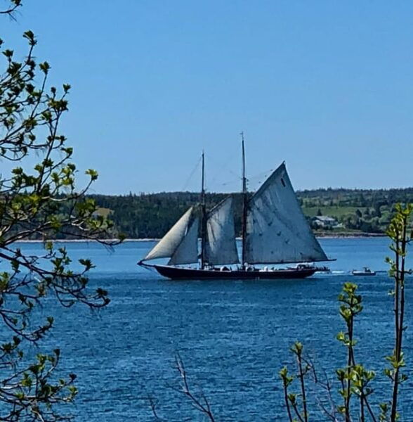 Seaweed Tours Lunenburg N.S Can UNESCO World Heritage Site. - Key Meeting Point Details
