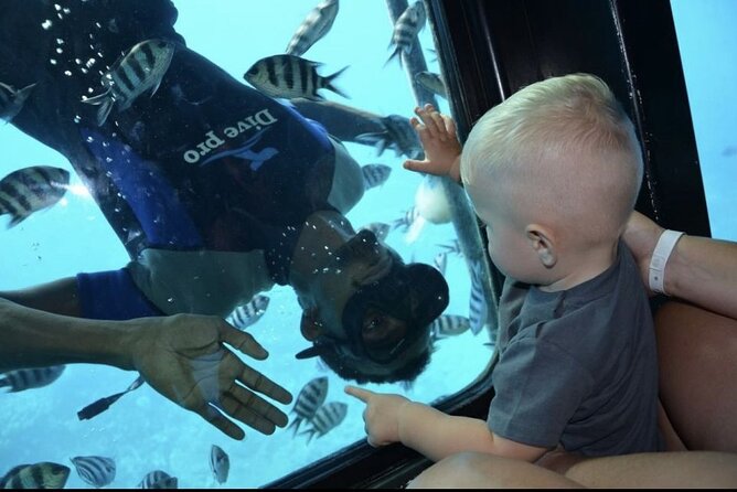 Seawolf Semi-Submarine With Snorkeling in Hurghada - Reservation Process