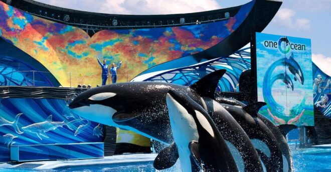 SeaWorld Orlando: Park Admission Ticket - SeaWorld Orlando Highlights