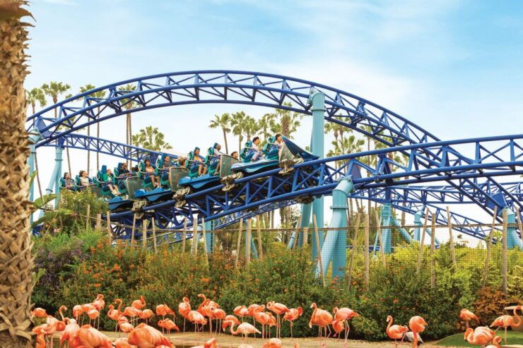 SeaWorld San Diego, San Diego - Book Tickets & Tours - SeaWorld San Diego Overview