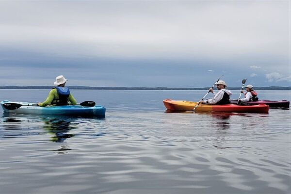 Sebago Lake: Half-Day Kayak Rental - Pricing and Inclusions