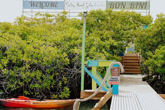 Secluded Relaxation at Aruba Private Reef Island-1/2 Day-Group 5 - Good To Know