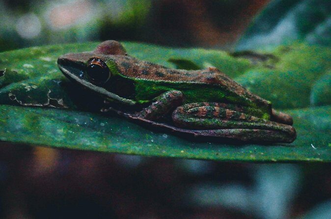 Secluded Waterfall Adventure - Practical Details: Price, Duration, and Group Size