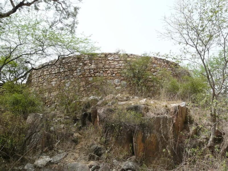 Secret and Spooky Ruins of Mehrauli Archaeological Park - Why This Tour Is a Great Deal