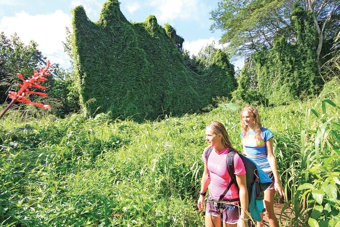 Secret Falls Kayak Hike in Kauai - Tour Details and Highlights