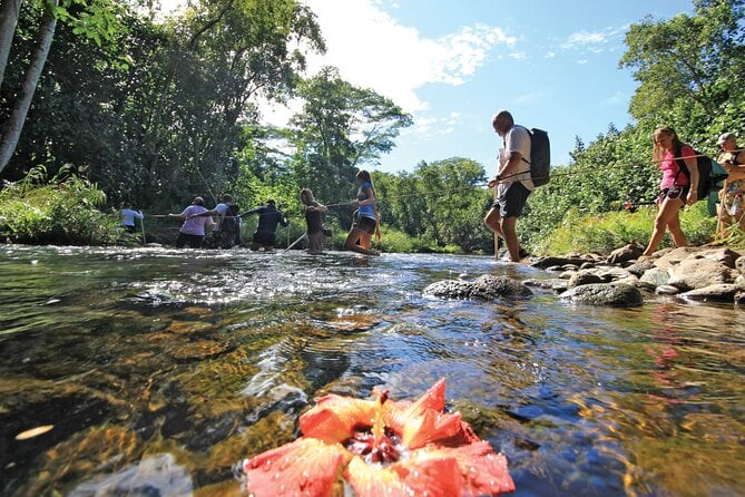 Secret Falls Kayak Hike in Kauai - What to Expect and Additional Information