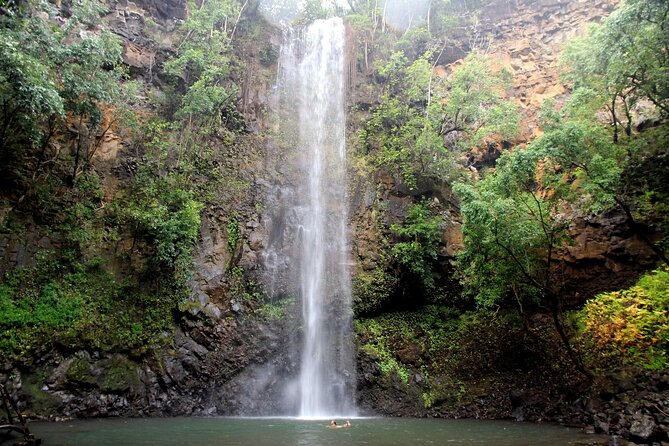 Secret Falls Kayak Hike in Kauai - Alternative Options and Family-Friendly Experience