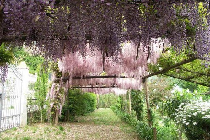 Secret Garden of the Soul - Good To Know