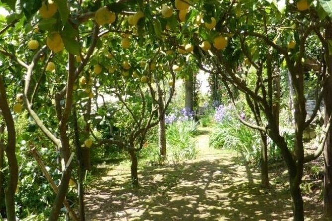 Secret Garden of the Soul - Unwind in Natures Embrace
