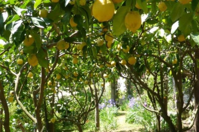 Secret Garden of the Soul - Frequently Asked Questions