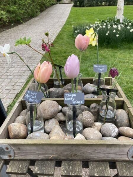 Secret Gardens of London Full-Day Tour - Common Questions