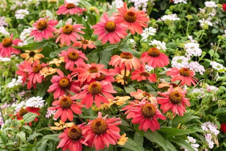 Secret Gardens of London Private Tour - Authentic Experiences and Real Insights from Reviews