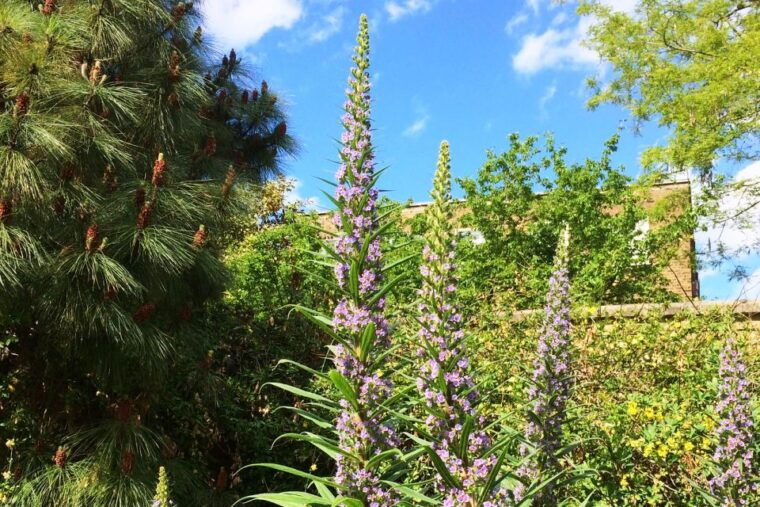 Secret Gardens of London Private Tour - Why This Tour Delivers Value