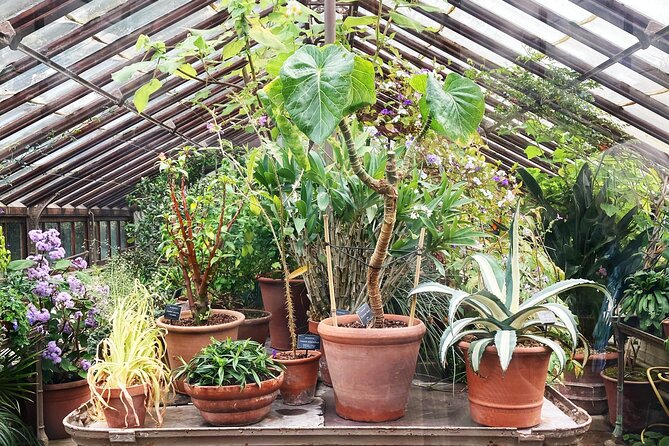 Secret Gardens Tour of London With Afternoon Tea - Cancellation Policy