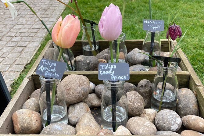 Secret Gardens Tour of London With Afternoon Tea - The Sum Up