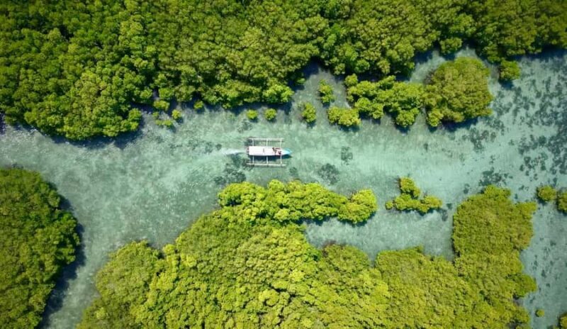 Secret Gili's Lombok: Gili Kondo, Kapal, Petagan, Bidara - Introduction: Why Choose This Tour?