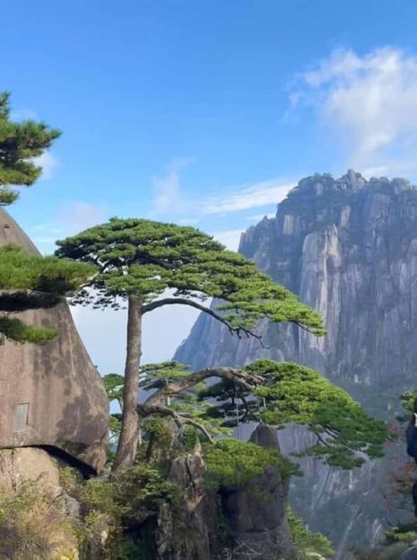 Secret Huihuang-Three-day Tour of Huangshan Hongcun - Who Should Book This Tour?