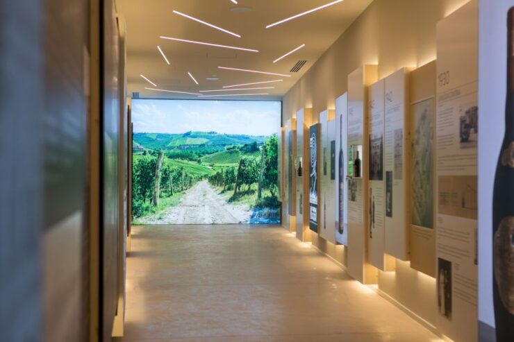 Secret Journey Between Prosecco, Lugana and White Wines - Wine Tasting Experience in Verona