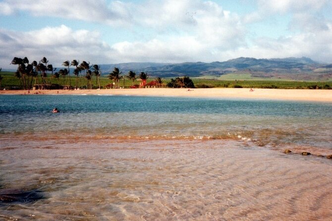 Secret Kauai Canyons & Coastlines Tour - Tour Guide Knowledge and Expertise