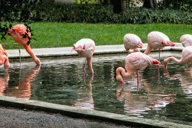Secret Milan Tour - Minimum Travelers Requirement