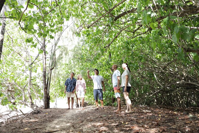 Secret Oahu Full Circle Island Tour With A Local Guide - Pick-up Instructions and Recommendations