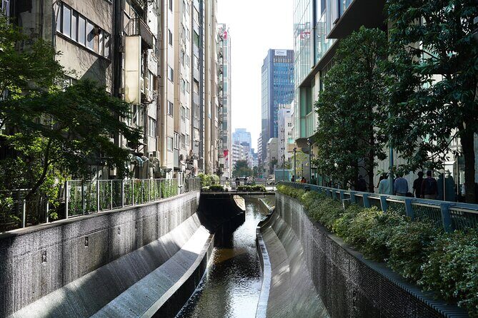 Secret of Shibuyas Origine - Exploring the Layers of Shibuya: A Detailed Breakdown