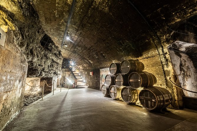 Secret of the Cellars - Questions and Terms
