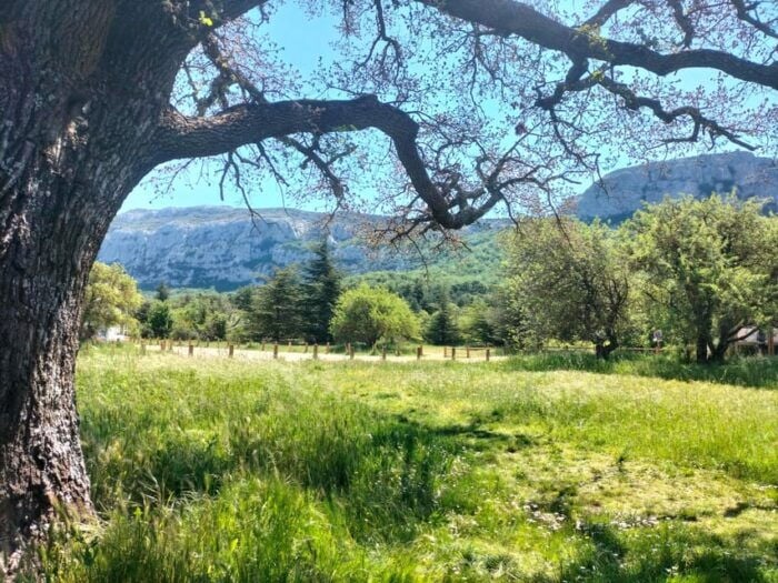 Secret Provence on Mary Magdalene's Path - Immersive Local Experiences