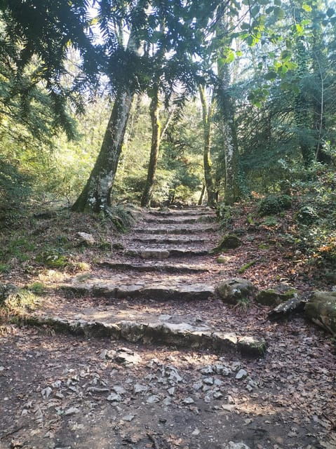 Secret Provence on Mary Magdalene's Path - Transportation and Logistics Details