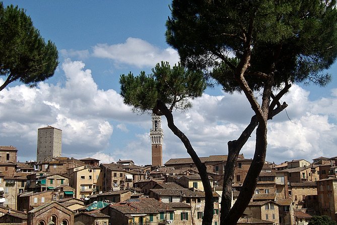 Secret Siena Walking Tour - Tour Overview