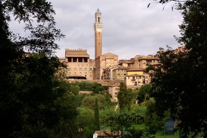 Secret Siena Walking Tour - End Point Details