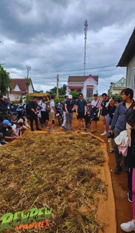 Secret Tour Dalat - Good To Know