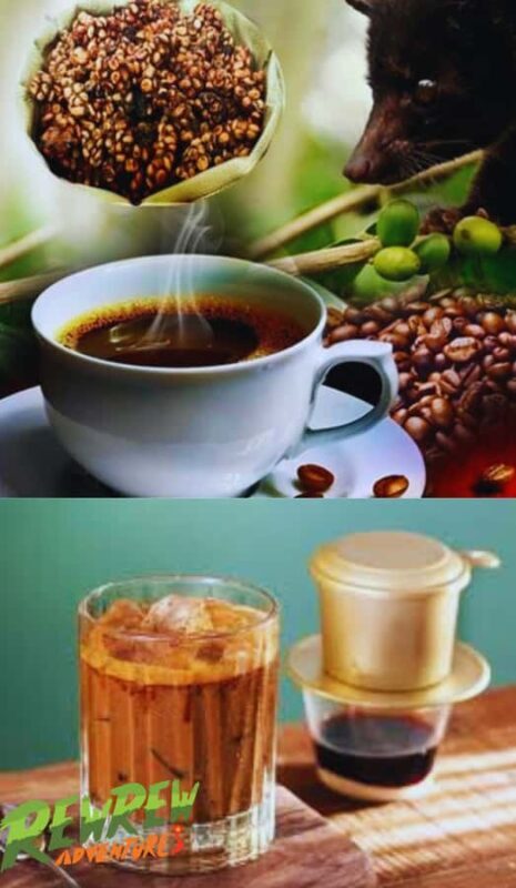 Secret Tour Dalat - The Experience of the Guides